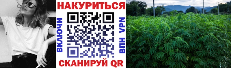 Где найти наркотики Курчалой АМФ  ГАШИШ  MEGA   СК  КОКАИН 