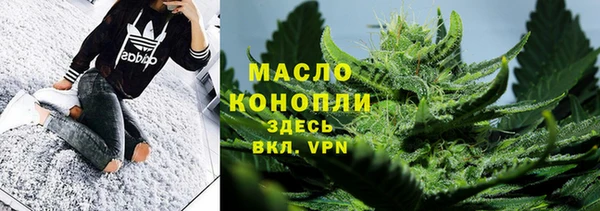 индика Арсеньев