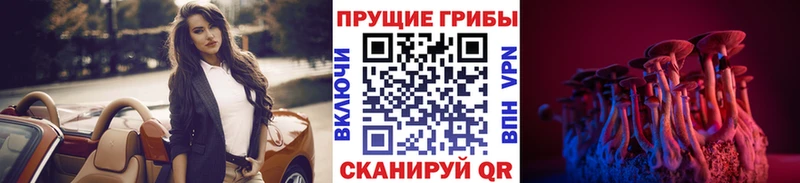 Псилоцибиновые грибы GOLDEN TEACHER  Курчалой 