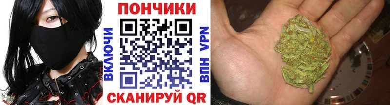 Канабис Bruce Banner Курчалой